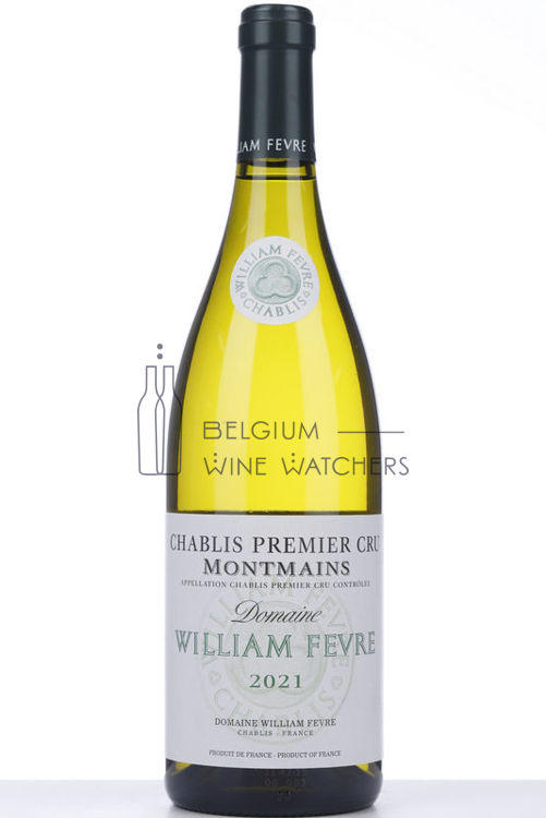 Image de 2021 CHABLIS MONTMAINS